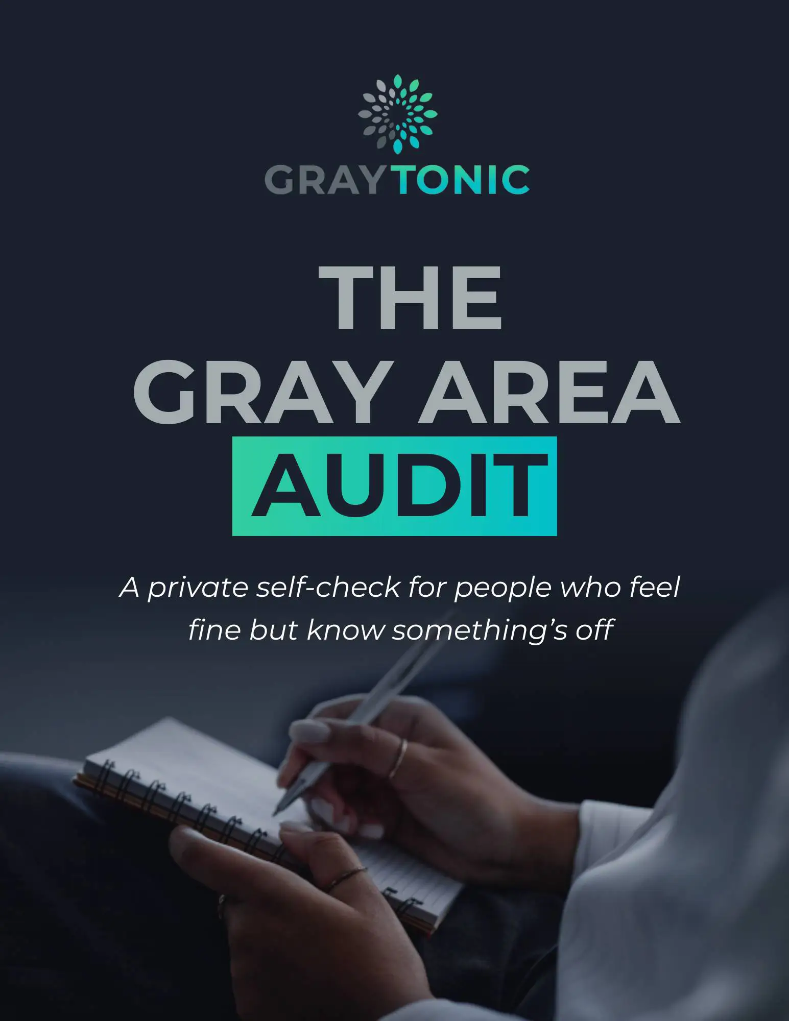 gray area audit